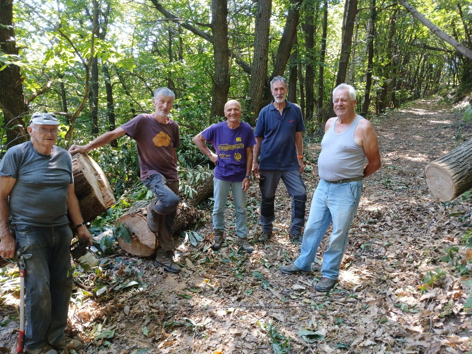 Volontari impegnati nella manutenzione del bosco