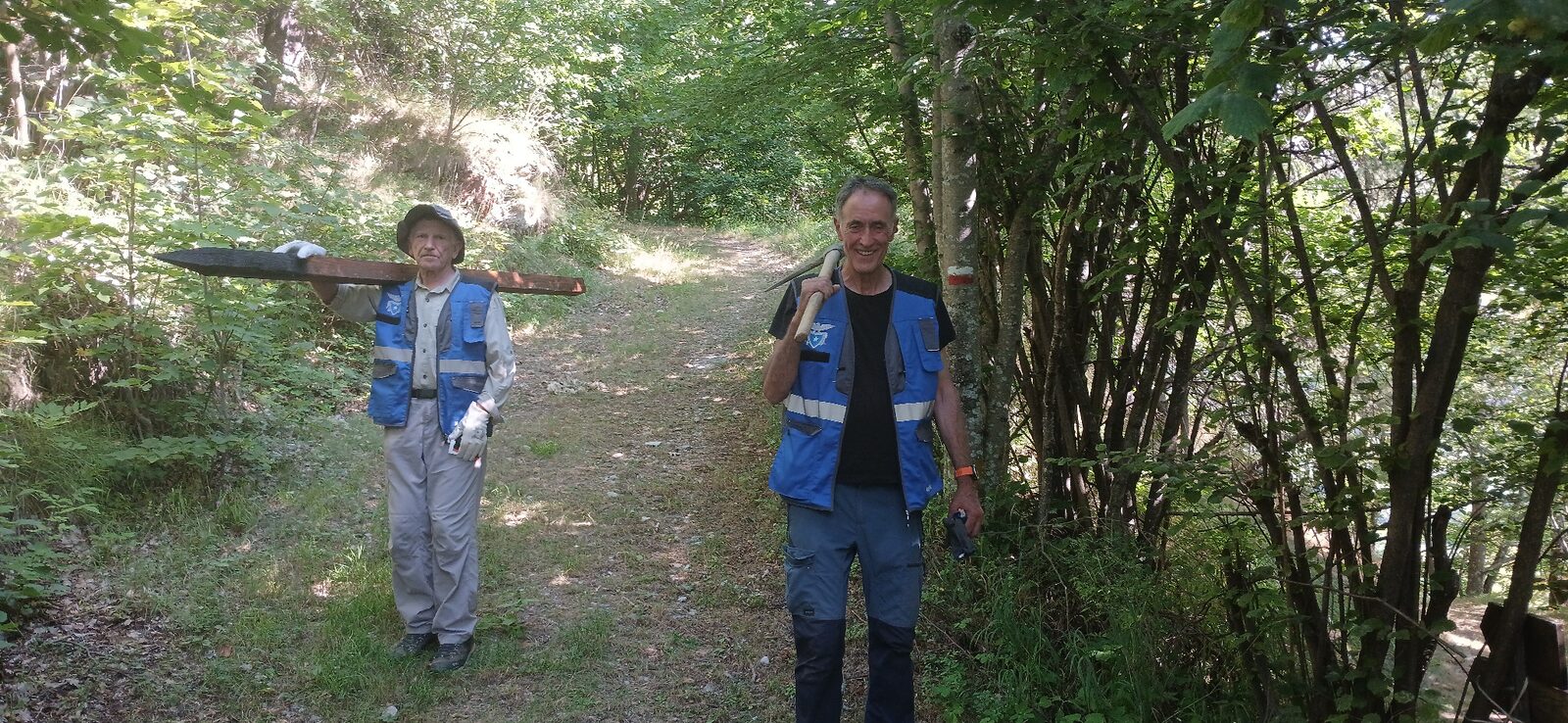 Volontari lungo un sentiero nel bosco